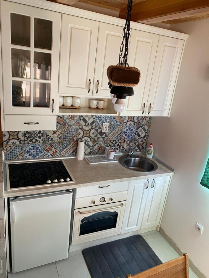 Apartments Milev Lux Mokra Gora Extérieur photo
